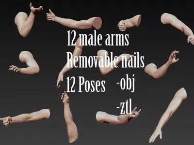 12 Male Arms 3D model