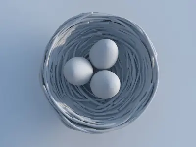 Bird Nest 3D model purchase