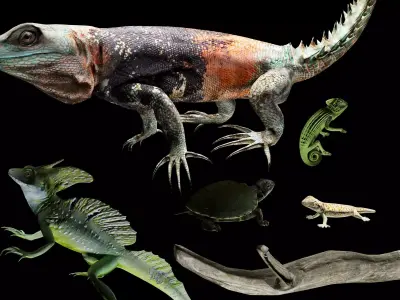 Reptile collection Free 3D model