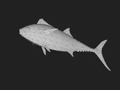 Tuna fish Low-poly 3D model get