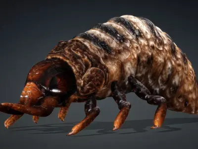 Larval-V1c 3D model