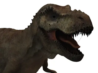 T-rex Free 3D model purchase