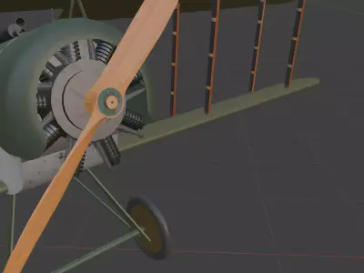 Fokker DII all three colour  Variants 3D model