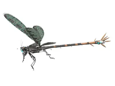 Dragonfly model with long legs 3D model