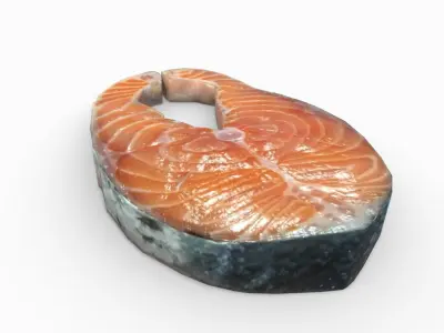 Salmon piece of 3D model