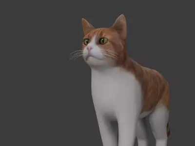 Cat model Low-poly 3D model buy