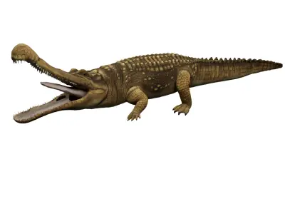 Alligator Animated Low-poly 3D model