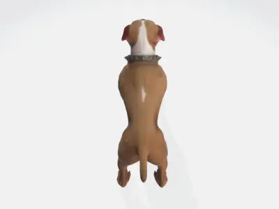 Pitbull dog 3D model