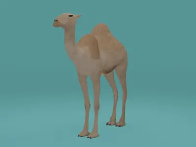 Camel Low-poly 3D model shop