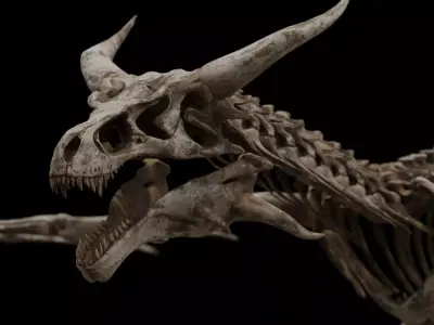 Dragon Wyvern Skeleton Low-poly 3D model