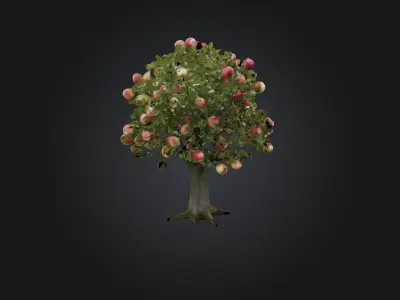Apple Tree Low-poly 3D model purchase