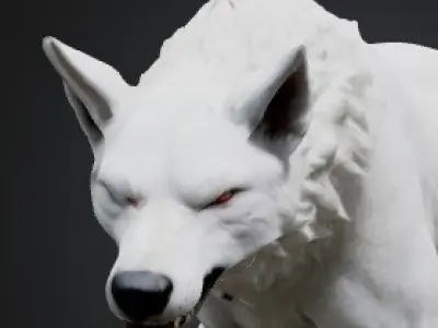White wolf 3D model