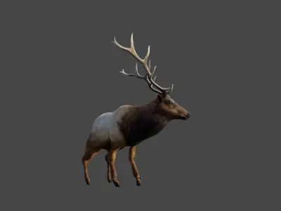 lowpoly rigged reindeer model for blender Low-poly 3D model