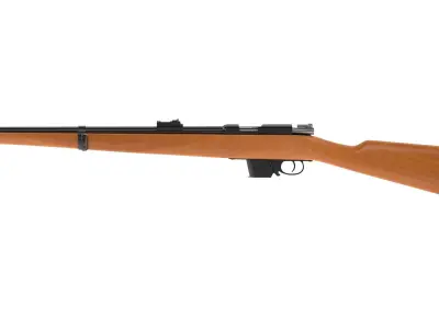 Destroyer Carbine 3D model