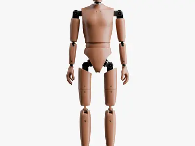 Crash Test Male Female and Child Dummy 3D model