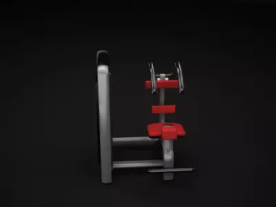 Rotary Torso Machine 3D model