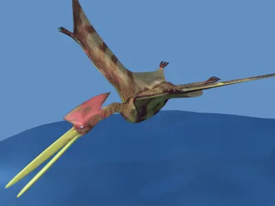 Hatzegopteryx  dinosaur 3D model