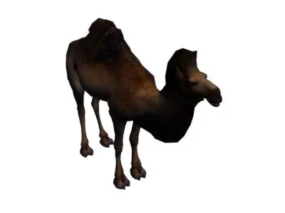The Camel Low Poly 3D model