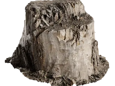  Short Cut Bare Splintered Stump Model 