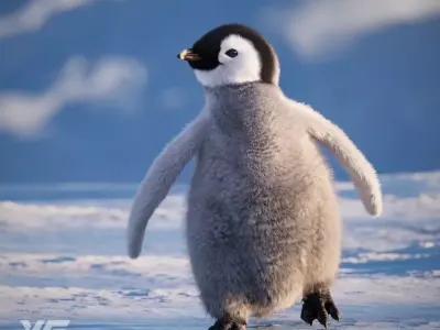 Baby Emperor Penguin Animated VFX Grace 3D model