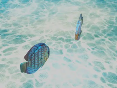 Discus Fish 3D model purchase
