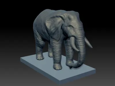 Realistic Elephant 3D model on platform 3D model