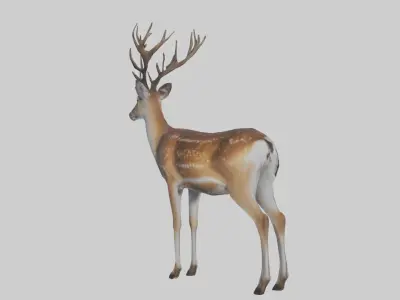 Fallow deer Low-poly 3D model