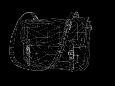 Old Bag Low-poly 3D model