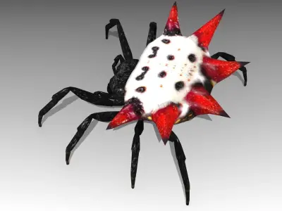 Spinybacked Spider Low-poly 3D model