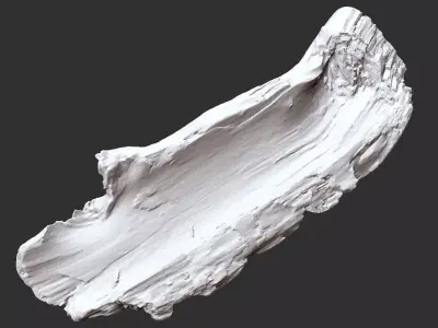 Tree trunk 3d scan in highpoly 3D model