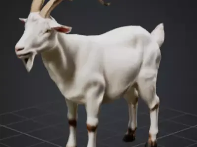 Goat cheap and high quality Low-poly 3D model