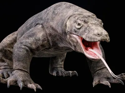 Komodo Dragon 8K PBR 3D model