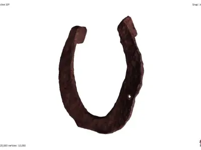 Set of three antique rusty horseshoes 3D model