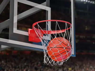  Animated Spalding Basketball Falls Through the Net 