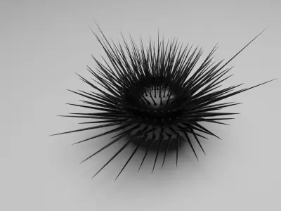 Sea Urchin 3D model