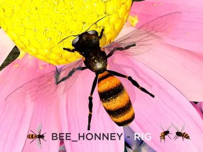 Bee Honey Movie 3D Model 3D model