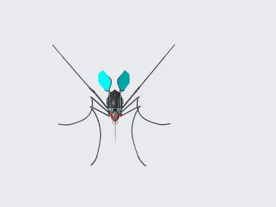 Mosquito robot 3D model