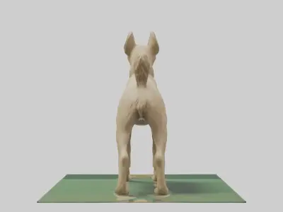Berger Picard herding model Low-poly 3D model