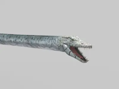 Real Plesiosaur Elasmosaur - 8K 3D model