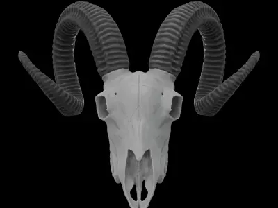 Ram Skull HighPoly Free 3D model