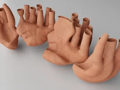 Endoplasmic Reticulum  3D model
