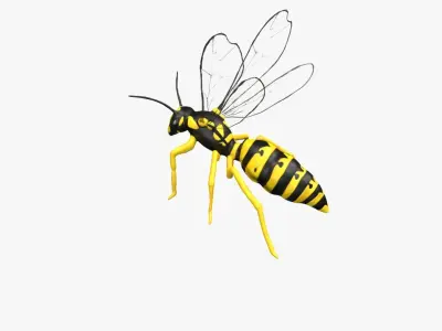 Wasp Hornet Low-poly 3D model