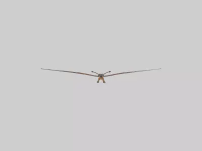 Monarch Butterfly flying model 3D model