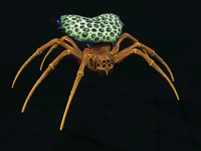 Small Spiders Low-poly 3D model