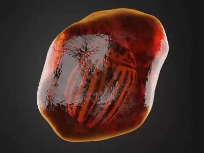 Fossilized Amber 3D model
