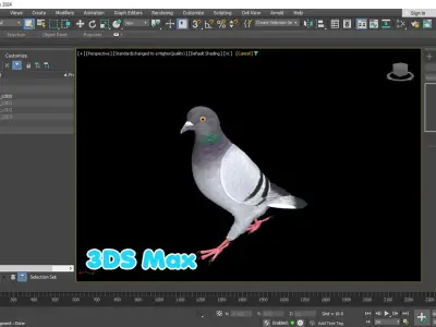 Realistic Animated Rock Pigeon Low-poly 3D model