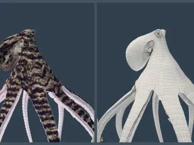 Animated Mimic Octopus Low-poly 3D model