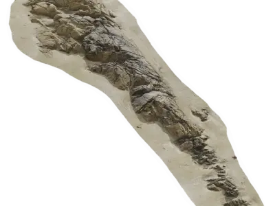 Large Flat Beach Rock Model 
