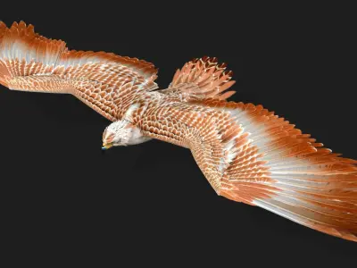 Eagle V2E 3D model