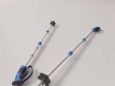 Ski Poles 3D model